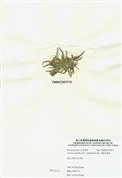 藏品(乳頭軟骨凹頂藻)的圖片